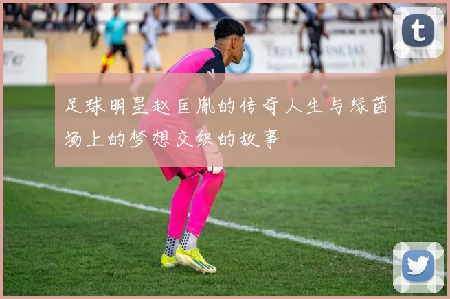 足球明星赵匡胤的传奇人生与绿茵场上的梦想交织的故事