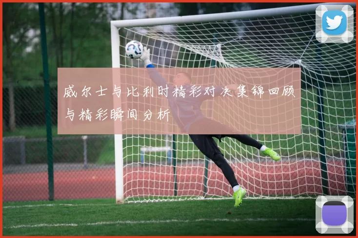 威尔士与比利时精彩对决集锦回顾与精彩瞬间分析