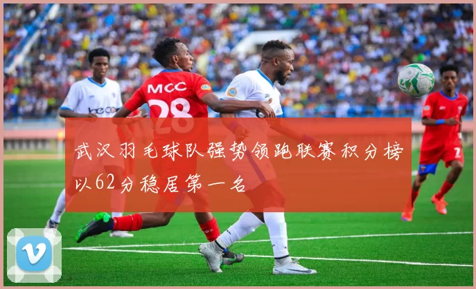 武汉羽毛球队强势领跑联赛积分榜以62分稳居第一名