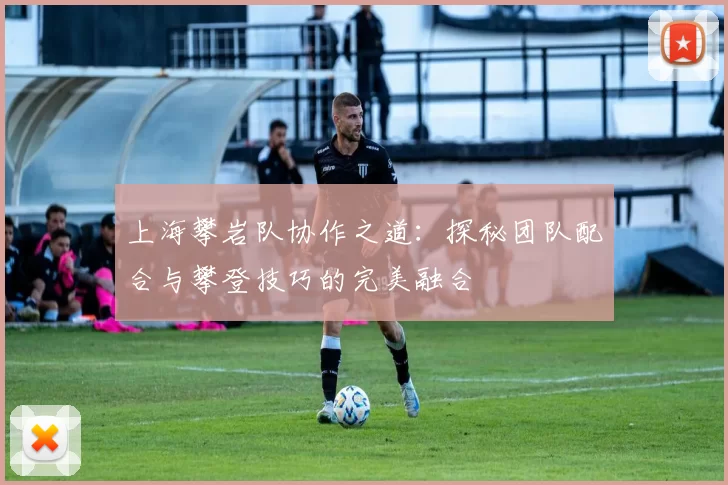 上海攀岩队协作之道：探秘团队配合与攀登技巧的完美融合