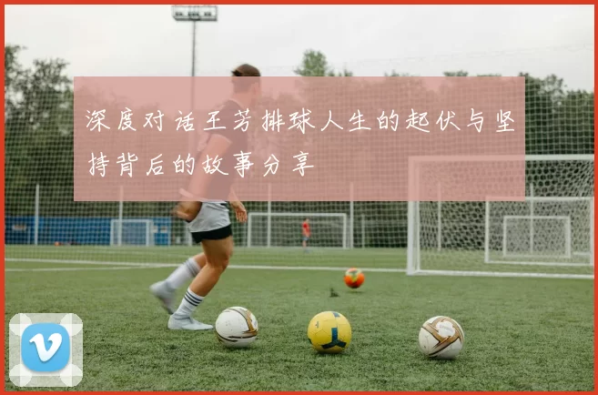 深度对话王芳排球人生的起伏与坚持背后的故事分享