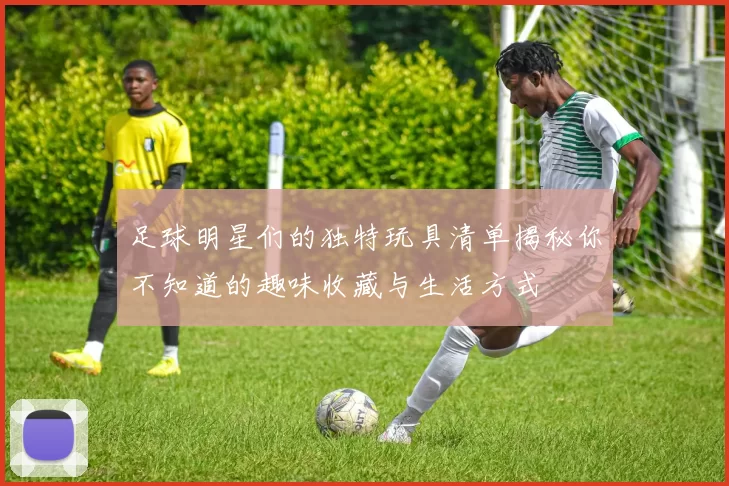 足球明星们的独特玩具清单揭秘你不知道的趣味收藏与生活方式