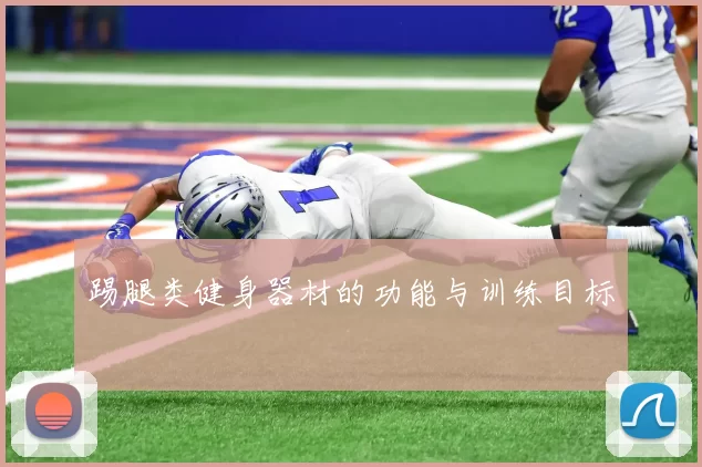 踢腿类健身器材的功能与训练目标