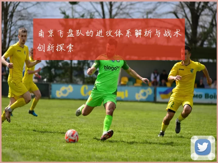 南京飞盘队的进攻体系解析与战术创新探索
