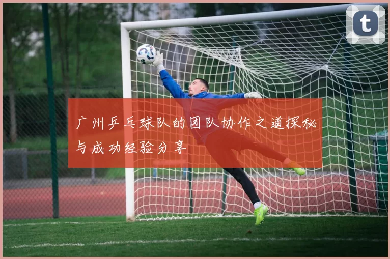 广州乒乓球队的团队协作之道探秘与成功经验分享