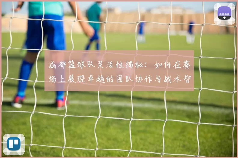 成都篮球队灵活性揭秘：如何在赛场上展现卓越的团队协作与战术智慧