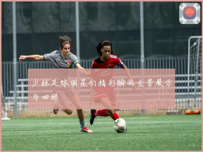 少林足球明星们精彩瞬间全景展示与回顾