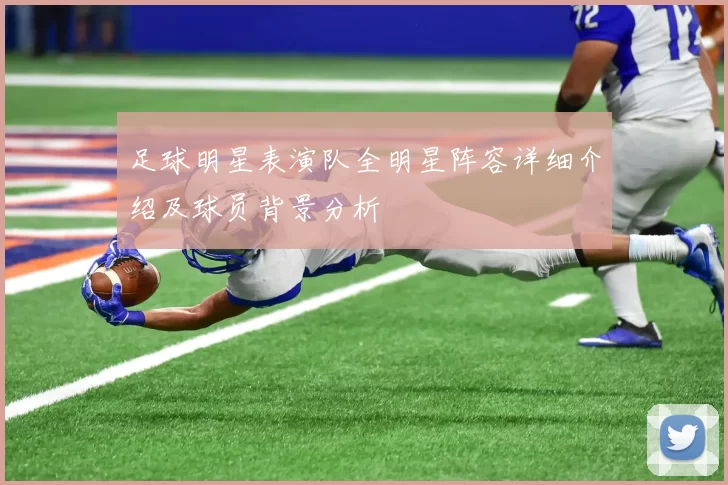 足球明星表演队全明星阵容详细介绍及球员背景分析