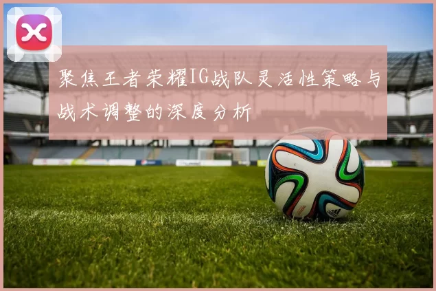 聚焦王者荣耀IG战队灵活性策略与战术调整的深度分析