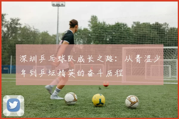 深圳乒乓球队成长之路：从青涩少年到乒坛精英的奋斗历程