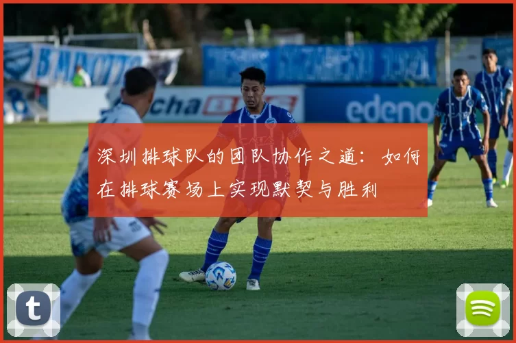 深圳排球队的团队协作之道：如何在排球赛场上实现默契与胜利