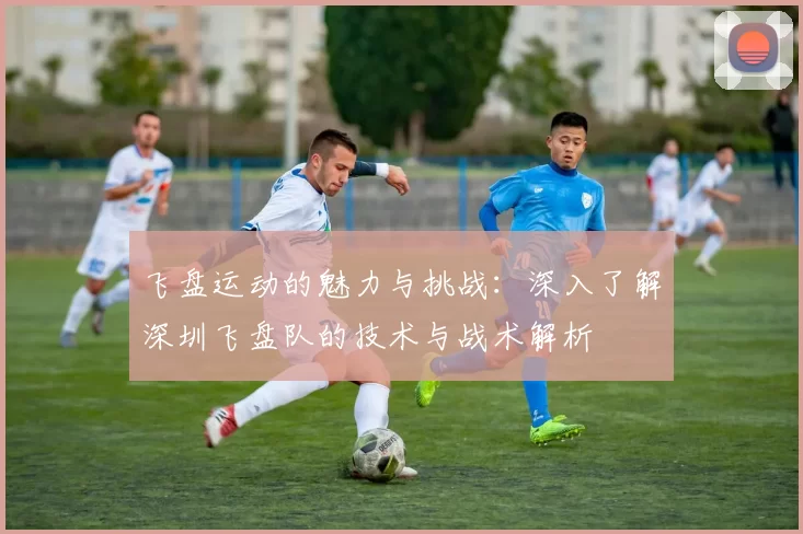 飞盘运动的魅力与挑战：深入了解深圳飞盘队的技术与战术解析