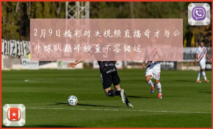 2月9日精彩对决视频直播奇才与公牛球队巅峰较量不容错过