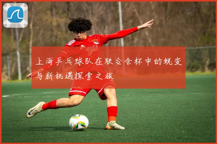 上海乒乓球队在联合会杯中的蜕变与新机遇探索之旅
