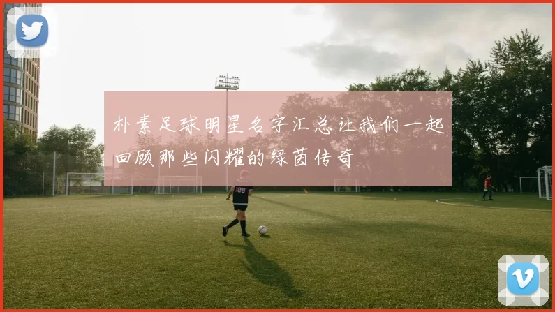 朴素足球明星名字汇总让我们一起回顾那些闪耀的绿茵传奇