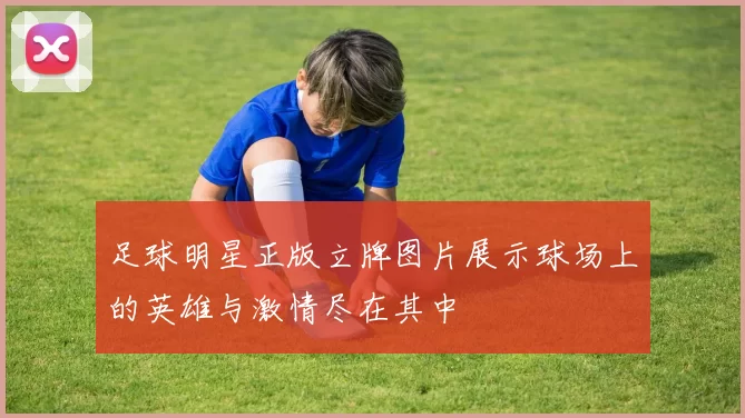 足球明星正版立牌图片展示球场上的英雄与激情尽在其中