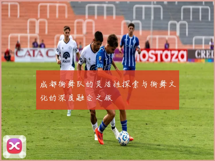 成都街舞队的灵活性探索与街舞文化的深度融合之旅