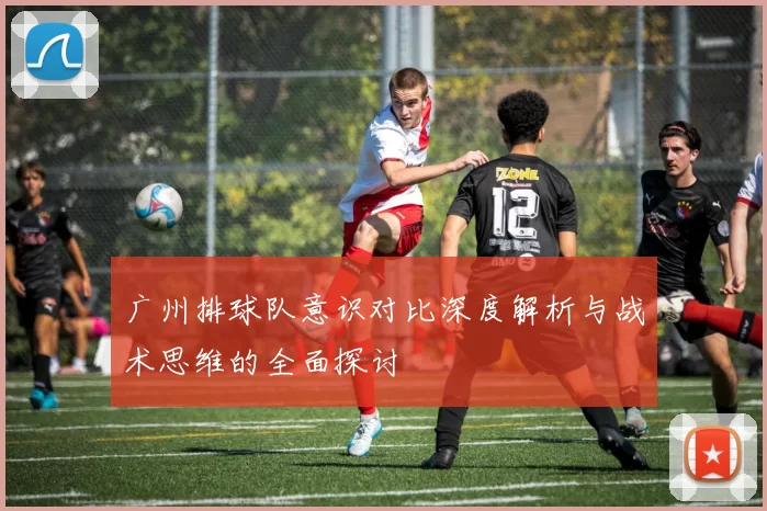 广州排球队意识对比深度解析与战术思维的全面探讨