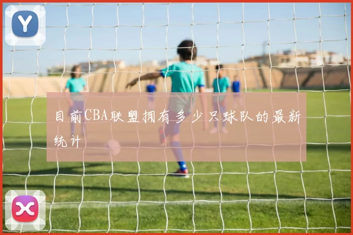 目前CBA联盟拥有多少只球队的最新统计